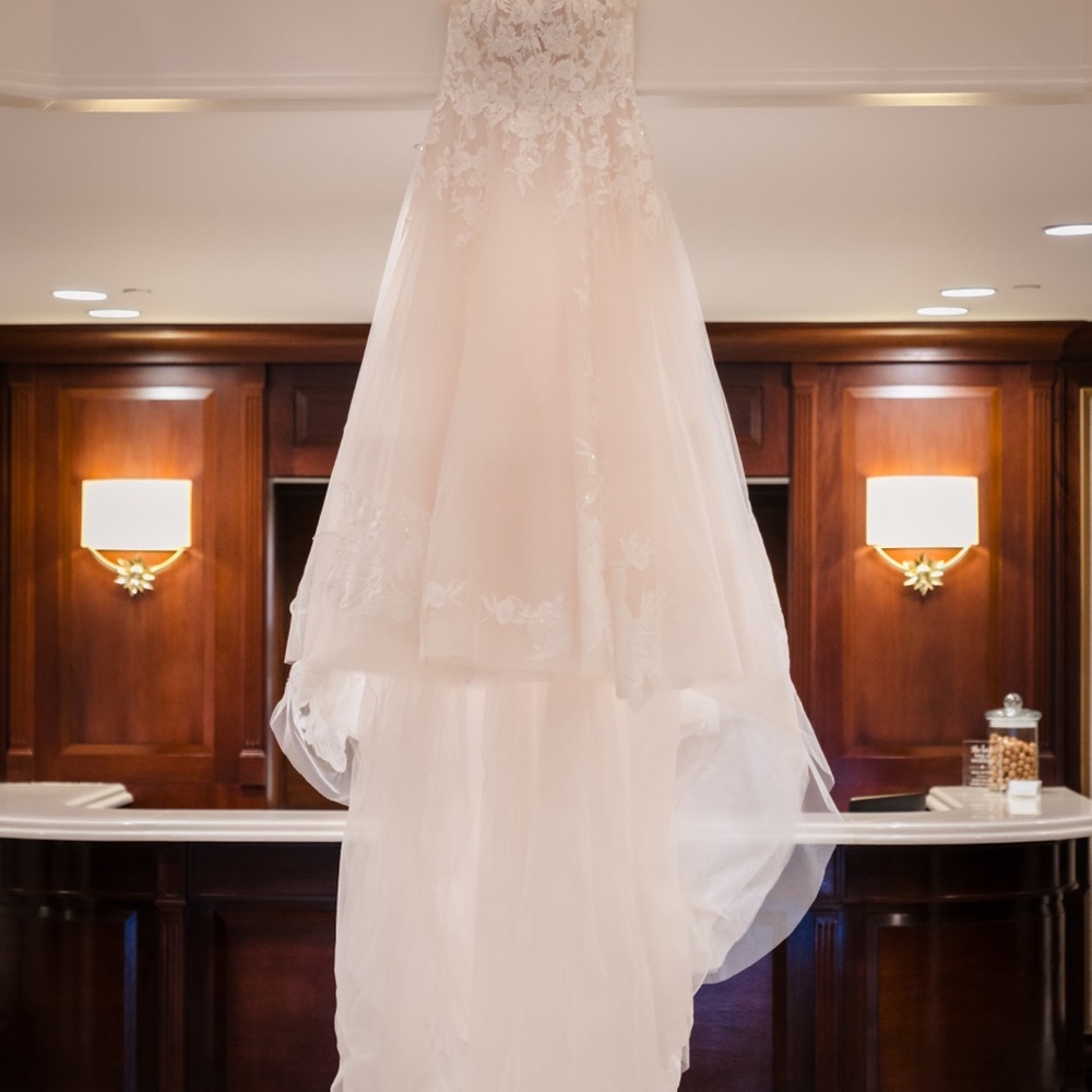 Pronovias Cream Wedding Dress